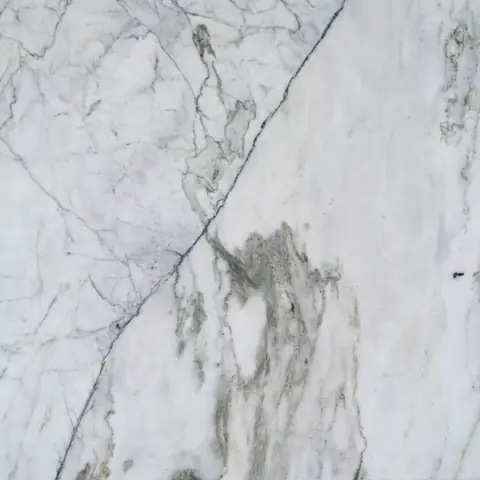 Belirgin damarlı beyaz (Beyaz)
